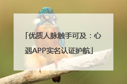 优质人脉触手可及：心遇APP实名认证护航